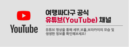 여행싸다구 유튜브 공식채널